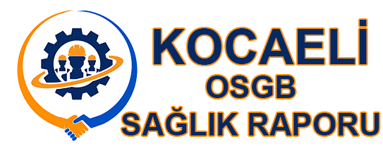 Kocaeli OSGB Sağlık Raporu